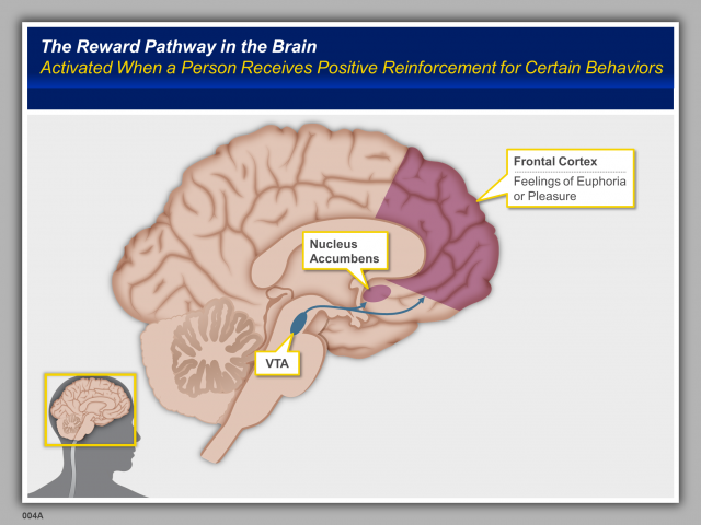 Opioid Litigation- Visual Strategies and Techniques